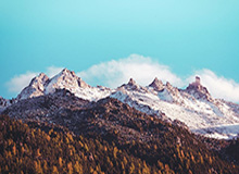 马竞与那不勒斯追逐若昂-戈麦斯，狼队欲留人至夏末|热刺|天空体育|安德烈-戈麦斯|若昂·菲利克斯|马德里竞技_新浪体育_新浪新闻